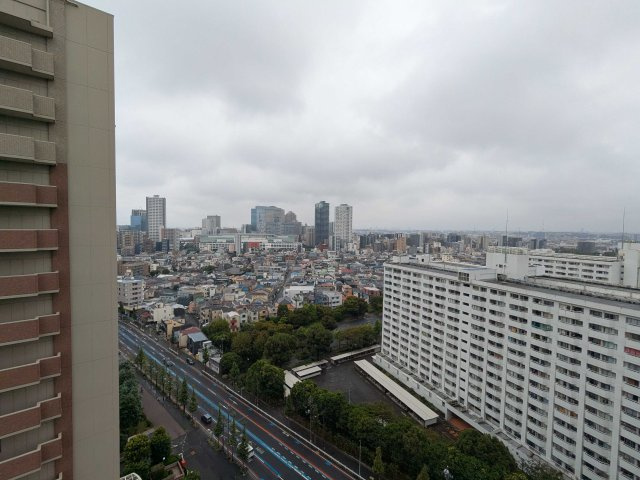 グラン・エステ川崎ツインタワー弐番館の展望