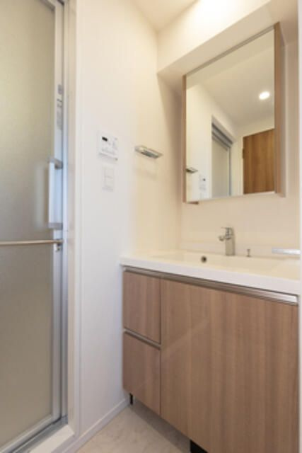 パークアクシス学芸大学レジデンスの洗面所