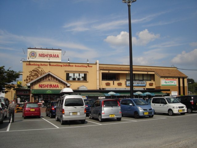 フレッシュパレス堀越の周辺|スーパーまで960ｍ