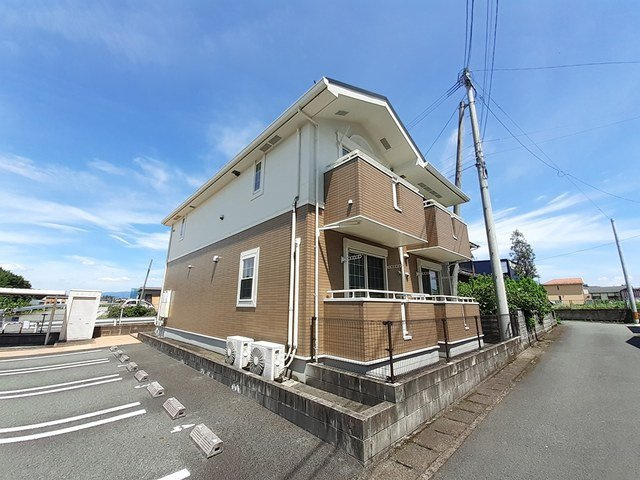 パンジーの外観|外観もきれいです