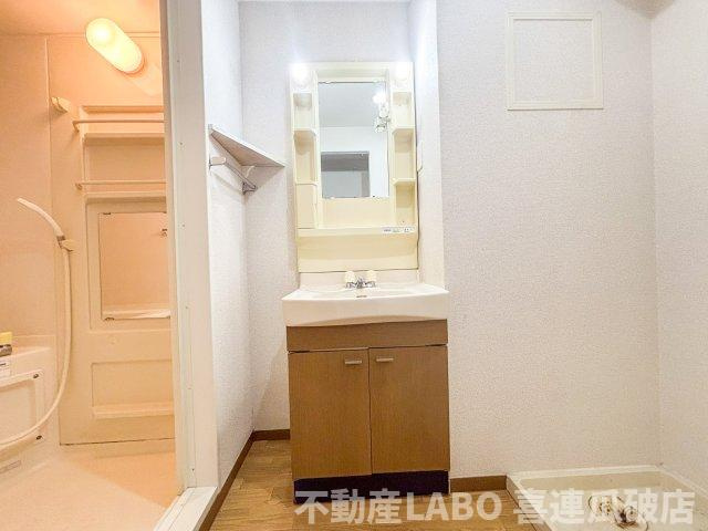 ニューリバーサイド八尾南Bの洗面所