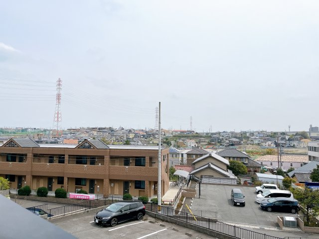 ウイング大根の展望