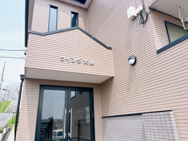 ウイング大根のその他