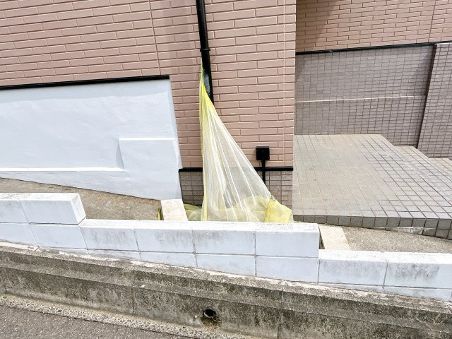 ウイング大根のその他