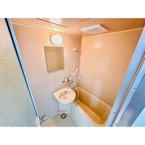 吉村コーポの洗面所