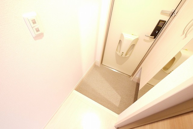 アリジェンスⅡの玄関|毎日通る玄関はこちらです