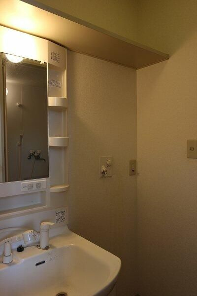 メゾン・ディアーヌの洗面所