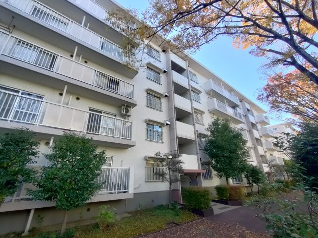 早稲田団地3-23-3号棟