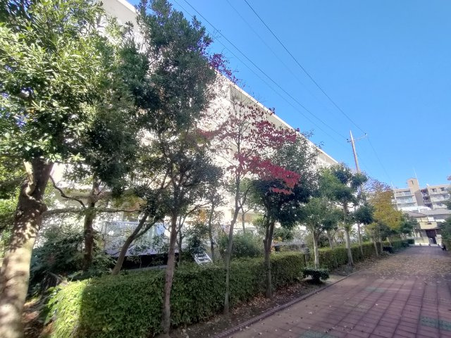 早稲田団地3-23-3号棟の外観|外観です