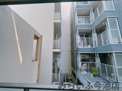 【展望】 | PULCHRA IMAIKE