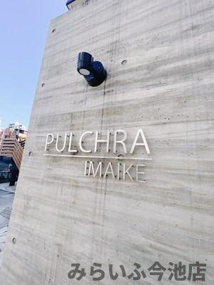 【その他】 | PULCHRA IMAIKE