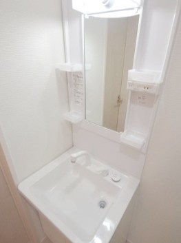 Ｓａｋａｄｏ－ｔｅｒｒａｃｅ（サカドテラス）の洗面所