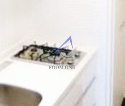 ラグジュアリーアパートメント赤羽西＃０１