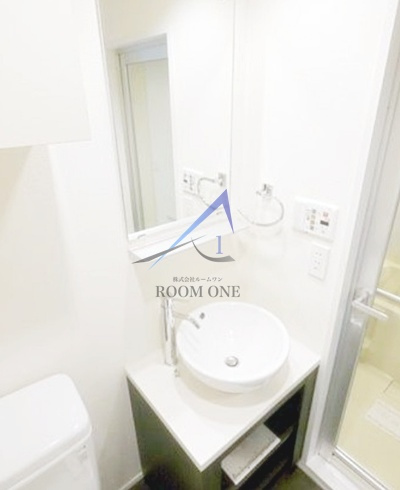 ラグジュアリーアパートメント赤羽西＃０１の洗面所|洗面台です。