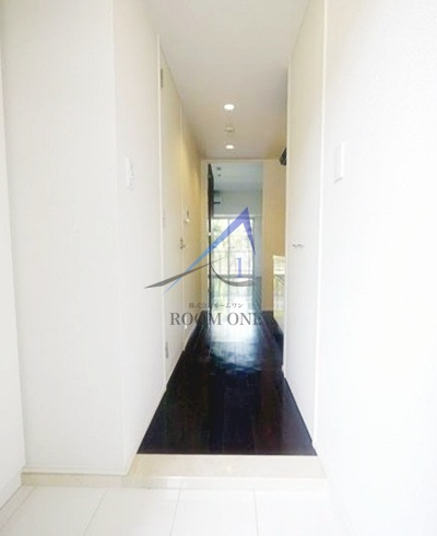 ラグジュアリーアパートメント赤羽西＃０１の玄関|玄関です。