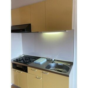 TRINITY(九之坪)のキッチン