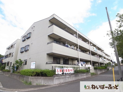 【外観】 | フィールドハウス青葉伍番館 | ファミリータイプの広いお部屋。