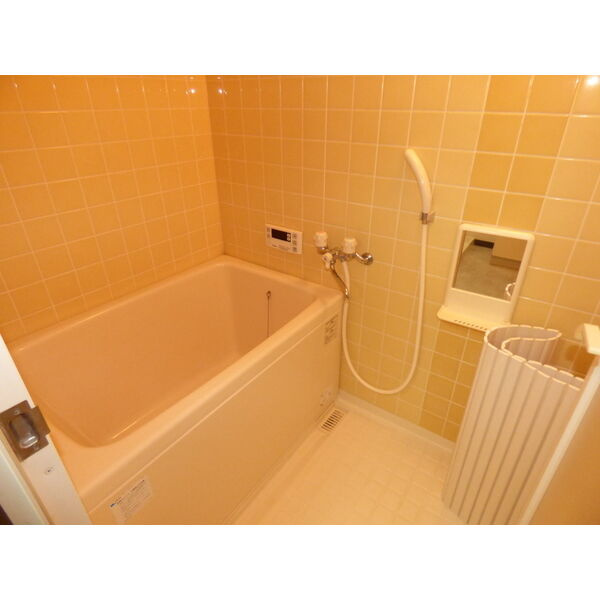 SOLE善明　　刈谷市近郊の賃貸ならクラスホーム刈谷店の浴室