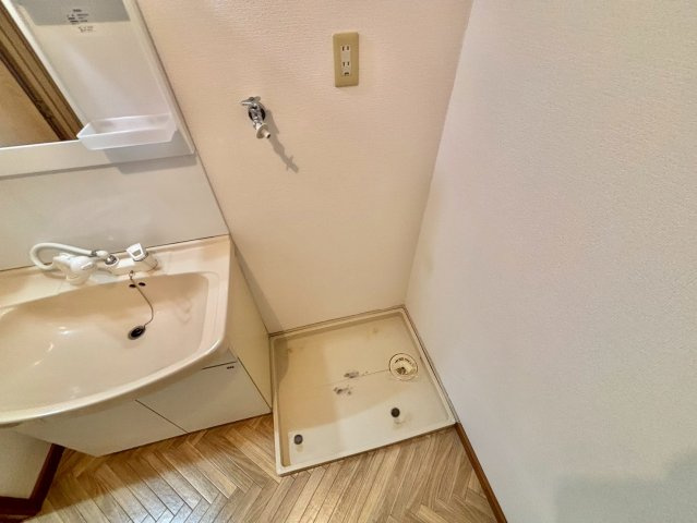 デランテ蓼野の洗面所