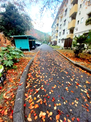 【駐車場】 | 泉北茶山台二丁7-4号棟