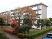 山崎第二団地９号棟の画像