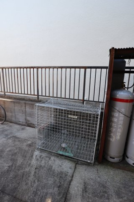 【その他共用部分】 | 伸和ハイツ