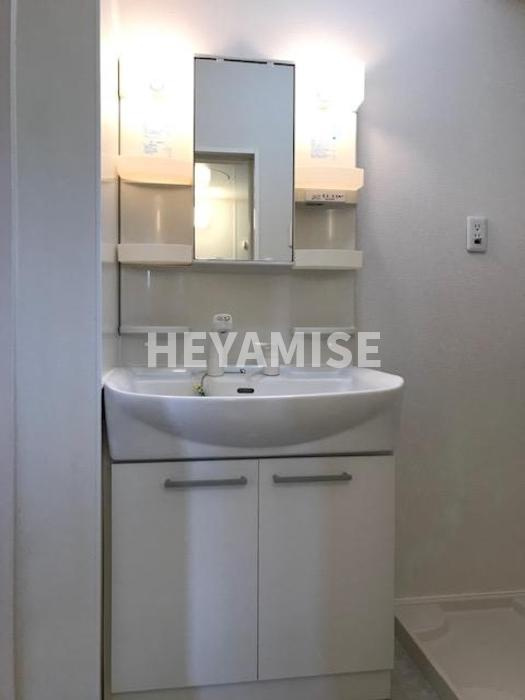 ニューハイツタリカド D棟の洗面所