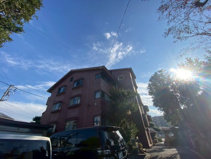 エクセレント丸太 の画像