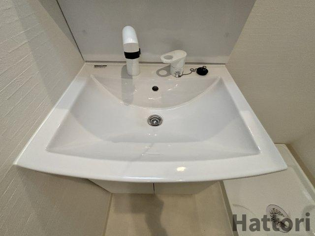 プルメリア阪大前の洗面所