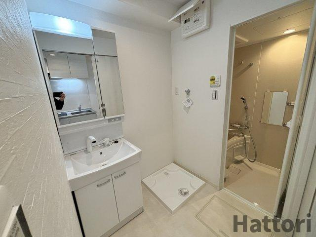 プルメリア阪大前の洗面所