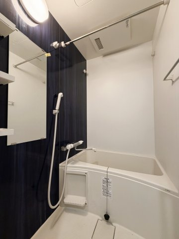 S-RESIDENCE市川の浴室