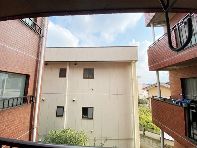 コーラルスターガーデンの展望