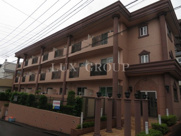 ルピナス7の画像