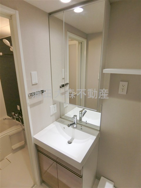 エスティメゾン大森の洗面所