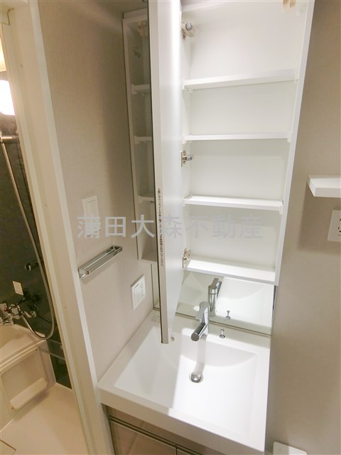 エスティメゾン大森の洗面所