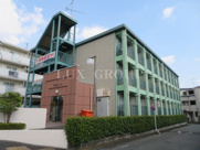 ルピナス8の画像