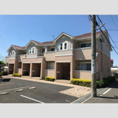 パラシェンプレの画像