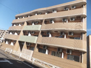 ルピナス1の画像