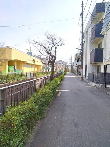 Dimora(ディモラ)世田谷のその他|前面道路・北東側