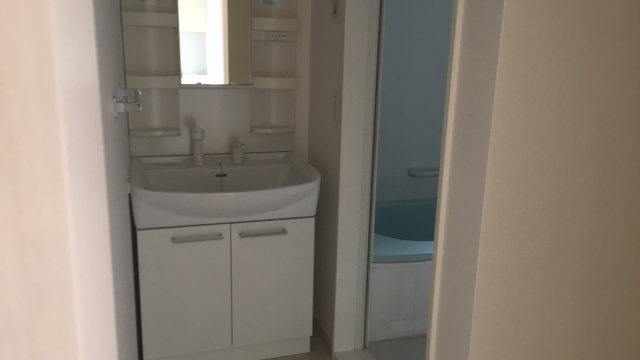 レ・ジーナⅡの洗面所