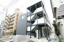 リブリゆずり葉(リブリユズリハ)の画像