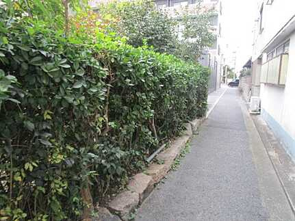 東区牛田本町１丁目の前面道路含む現地写真