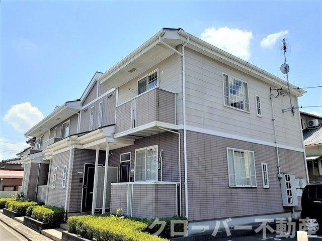 ＧＲＡＣＥ　ＥＮＺＡ