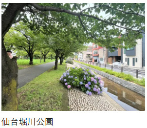 【周辺】 | 仙台堀公園ハイツ