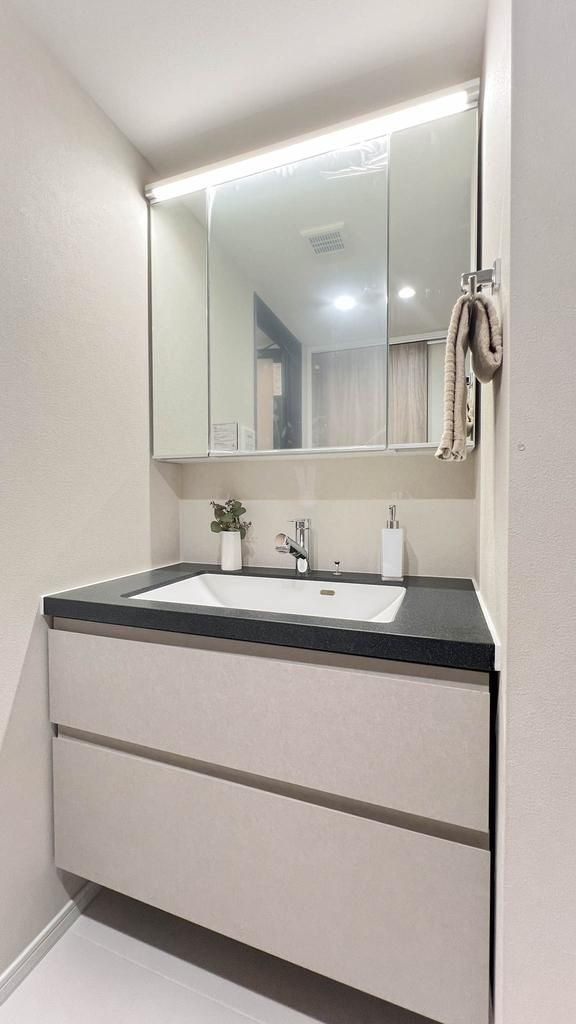 ハイセレサ菊名アクティールの独立洗面台