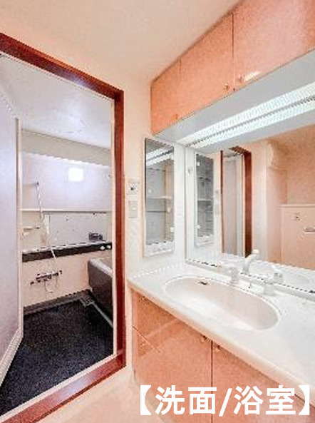 ダイアパレス新座グランドパーク21の独立洗面台