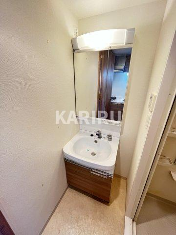 プレサンス水都ＯＫＡＷＡの洗面所