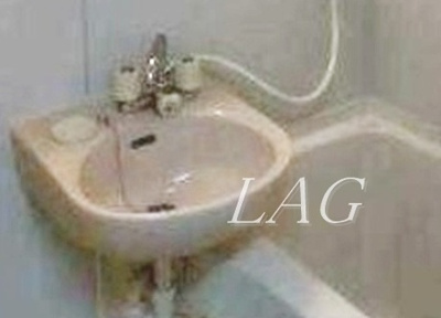 【洗面所】 | メゾンヒルズ | 洗面台です。