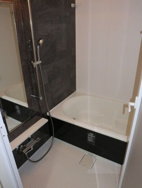 セイワパレス丸の内駅前の浴室