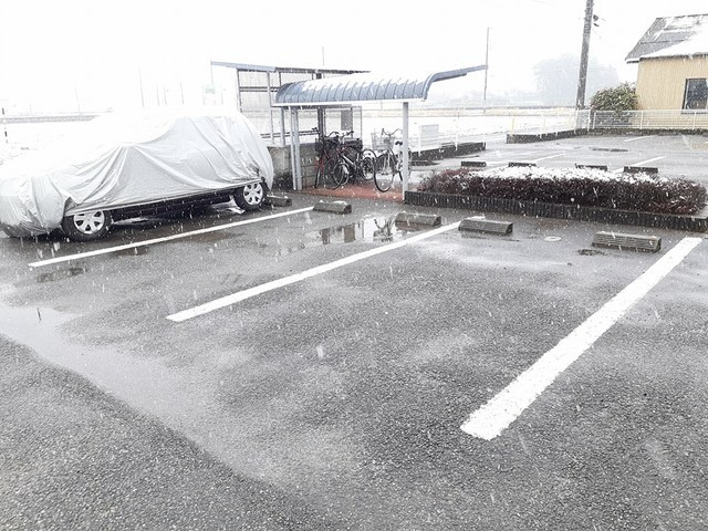 Ｗｉｎｇ　Ｂの駐車場|駐車場